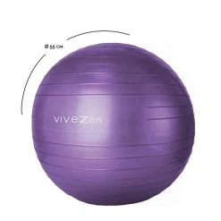 VIVEZEN Ballon De Yoga, Fitness, Gymnastique - Diam 55 Cm -Arena Shop unnamed file 651