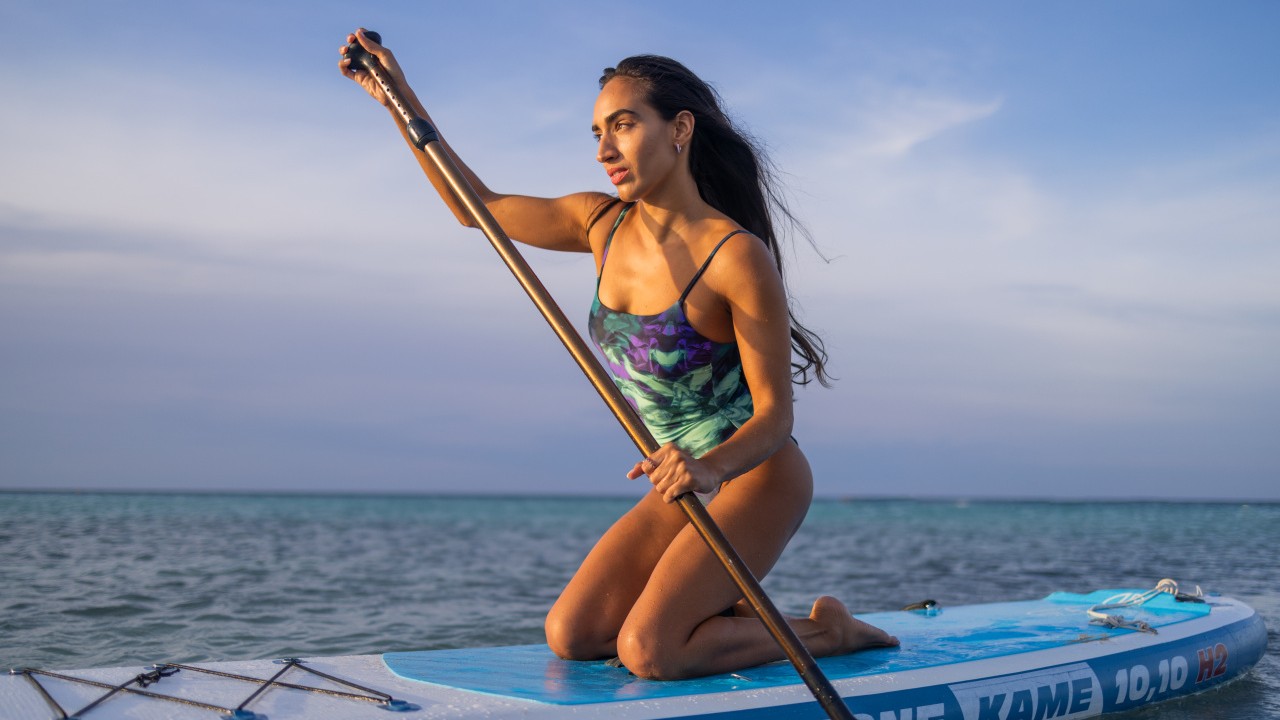 Arena Shop -Arena Shop arena1